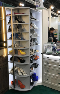 Woman's Dream Spinning Closet