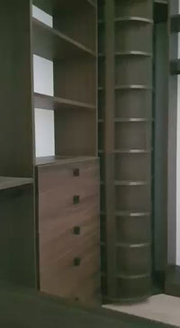 Woman's Dream Spinning Closet